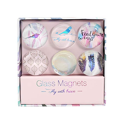 NatSumeBasics Rainbow Fridge Magnets 6 Pack Round Glass Refrigerator Magnet Sticker, Use at Home Kitchen School Office for Refrigerator Dry Erase Board and Whiteboard Gift Idea (Rainbow)