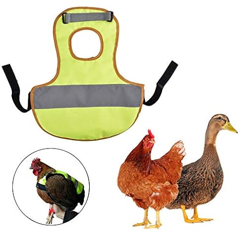 Wood.L Pet Warnweste, Reflektierende Weste Huhn Kleidung Geflügel Henne Sattel Schürze Federschutz Halter Geeignet Cover