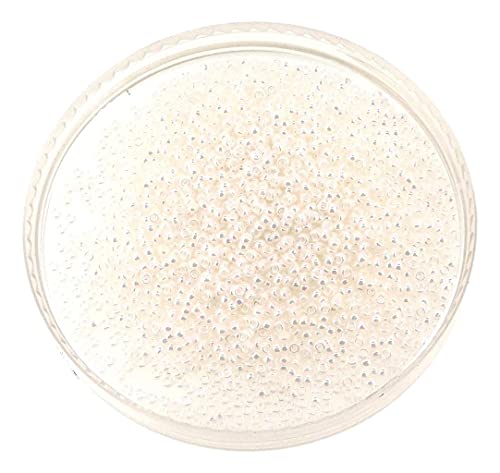 Miyuki Round Rocaille Seed Beads Size 15/0, 8.2 Grams Each, Pearl Ceylon 15-591 (1) #TOP5