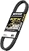 Dayco XTX5053 XTX Snowmobile Drive Belt