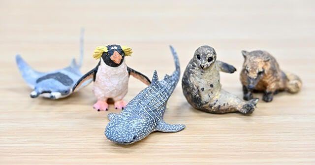 海遊館ミュージアム フルコンプ リーフレット付 海遊館ミュージアム