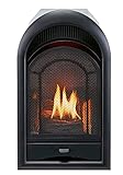 ProCom Dual Fuel Ventless Gas Fireplace Insert with Thermostat Control, 4 Fire Logs, Use with Natural Gas or Liquid Propane, 10000 BTU, Heats up to 500 Sq. Ft., Black