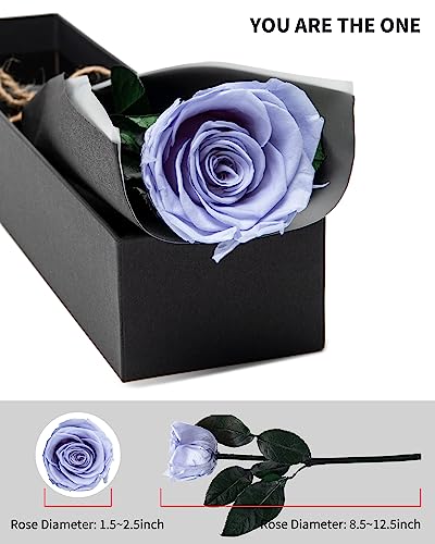Image of Blue Flowers for Delivery Prime, Preserved Blue Roses Flower Gifts for Women, Real Roses Single Rose Gifts for Her, Mom Birthday Gifts from Daughter, Solid Lilac Roses