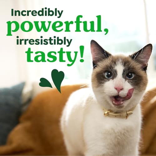 Greenies Feline Veterinarian-Recommended Adult Natural Dental Cat Treats, Oven Roasted Chicken Flavor, 4.6 oz. Pouch