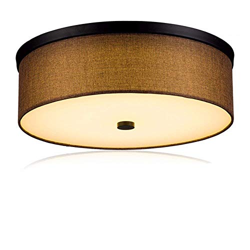 Plafonnier LED extérieur 400mm pour un accueil chaleureux de couloir et de balcon
