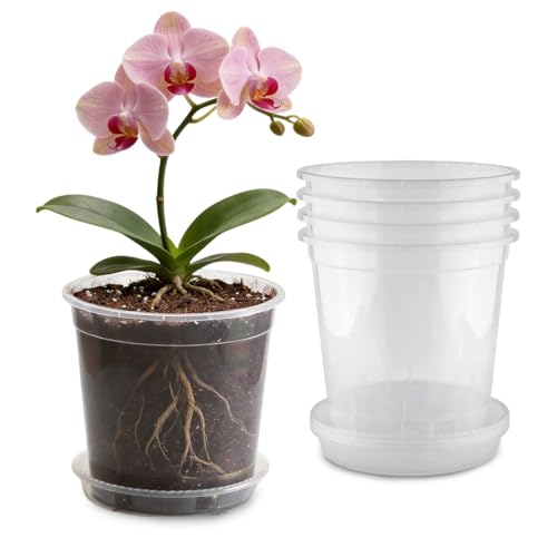 BTPLASTIK 2 Gallon Clear Nursery Pots with Saucers 5P 7.5 Inch Round Plastic Plant Pots with Drainage Holes