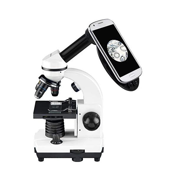 Bresser Biolux SEL Schülermikroskop Set mit Beleuchtung, Smartphoneadapter, Hartschalenkoffer, einem Experimentierset… – Bild 4