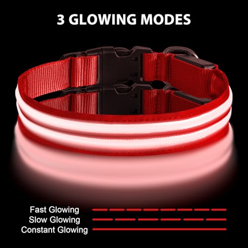 AUAUY LED Light Up Dog Collar, Pet Dog Double Light Strip Collar - Image 4