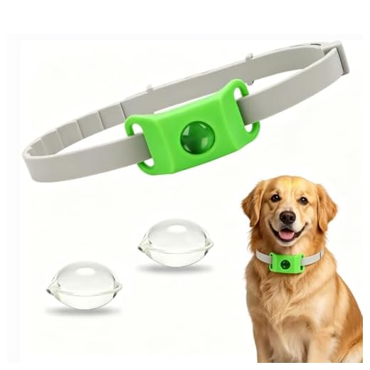 Halsband für Hunde, wasserfest und anpassbar