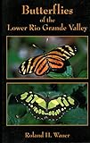 Butterflies of the Lower Rio Grande
