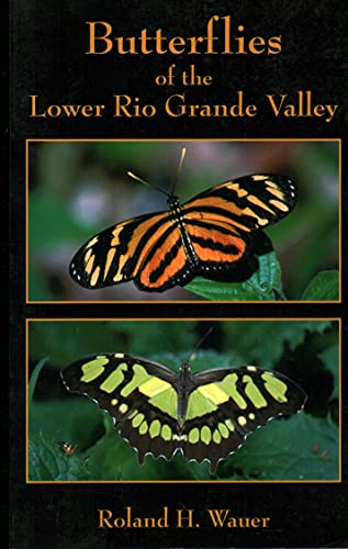 Butterflies of the Lower Rio Grande Valley