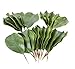 artificial Magnolia leaves pack of 30 leaves