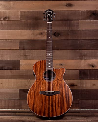 Ibanez Aeg220 6-String Acoustic-Electric Guitar (Right-Hand, Natural Low Gloss) #TOP2