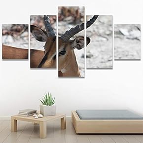 SIGNWIN 5 Panel Canvas Wall Art Animals Deer...