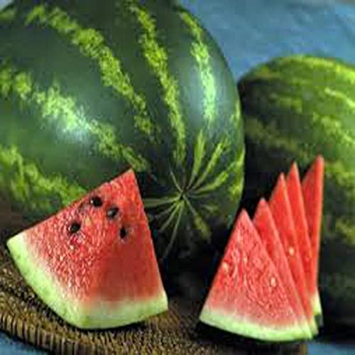 Watermelon, Jubilee, Heirloom, 100 Seeds, Large, Sweet N Delicious