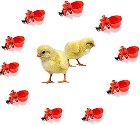 10Pcs Automatic Feed Poultry Water Drinking Cup Chicken Drinker // 10pcs aves de corral de alimentación automática bebedor de vaso para beber agua de pollo