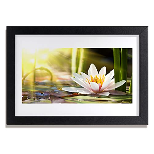 Affiche encadrée 30x20 cm lis d'eau de fleurs avec cadre en MDF pour décoration murale