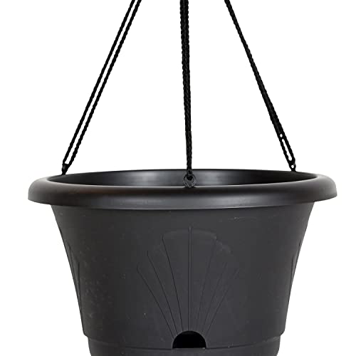 Bloem Lucca Self Watering Hanging Basket, 13", Black #TOP5