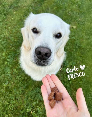 FRESCO Knusper Kissen | 100 g | Veganer Snack für Hunde | Gemüsekissen mit Waldfruchtfüllung | Für eine abwechslungsreichere Ernährung | Knusprige Hülle & fruchtige Füllung
