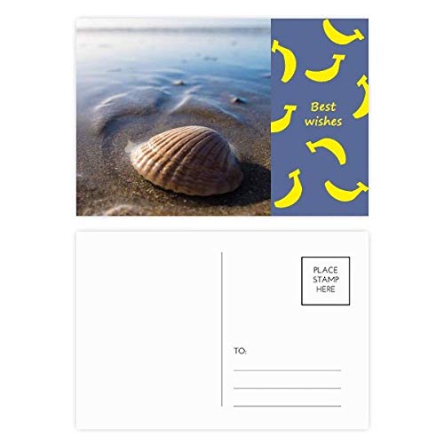 Jeu de cartes postales l'eau de mer Shell pour vos vœux de vacances
