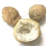 FYOCOXDS