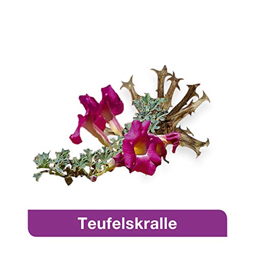 Teufelskralle Kapseln von Dr. Loges für Gelenkgesundheit