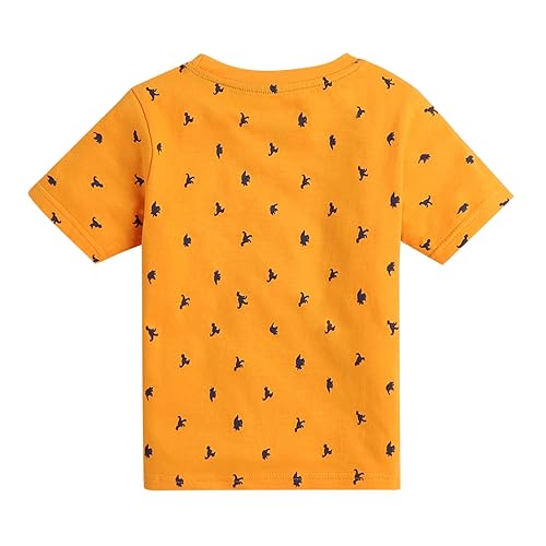 Image of Hopscotch Boys Graphic Regular Fit T-Shirt (Pack of 5)
