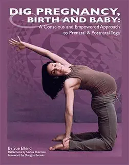 Dig Pregnancy, Birth, & Baby: A Conscious & Empowered Approach to Prenatal & Postnatal Yoga