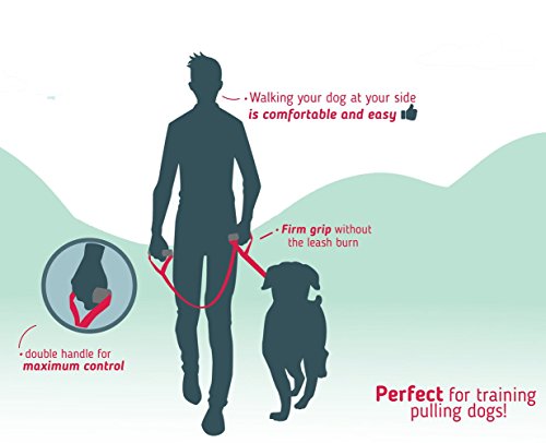 Leashboss Original - Heavy Duty Dog Leash For Large Dogs - No Pull Double Handle Training Lead For Walking Big Dogs - Dog Leashes With Padded Handle For Control And Safety (Purple) #TOP3