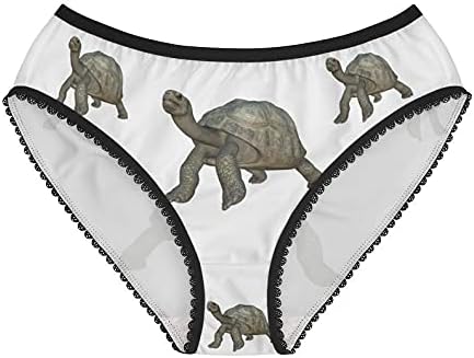 Galapagos Tortoise Panties, Galapagos Tortoise Underwear, Briefs, Cotton Briefs, Funny Underwear, Panties For Women