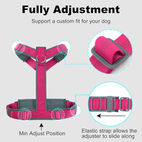 Plutus Pet No Pull Dog Harness, Adjustable Nylon Harness with Soft Padding, Reflective and Heavy Duty Dog Harness for Small, Medium, Large Dogs(Hot Pink, M) - Image 8