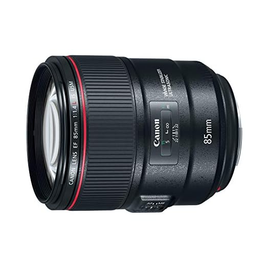 Canon EF 85mm f/1.4L IS DSLR Lens
