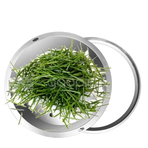 Heavy-Duty Round Manhole Cover for Grass – 12 to 40 Inch Sump Pump & Invisible Wastewater Basin Lid Perfect for Landscaping & Septic Pits