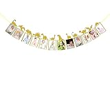 Labakita Gold Dinosaur Photo Banner, Dinosaur Baby Shower Decorations, Dinosaur 1st Birthday Decorations, Baby Birthday Photo Frame Photo Banner