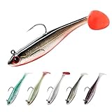 9KM DWLIFE Fishing Lures Pre-Rigged Soft Fishing Lures Bass Bait for Freshwater Saltwater Soft Plastic Lures for Bass Trout Walleye 6pcs