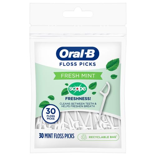 Oral B Floss Pick