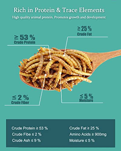 Reptile Food Dried Mealworms Pet Worms Food For Bearded Dragon, Lizard, Turtles, Chameleon, Monitor, Frog, Sugar Glider, Chickens, Ducks, Wild Birds, Fish, Hamsters And Hedgehogs (3.5 Oz) #TOP3