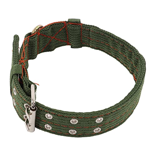 Kerbl Tierhalsband Für Schafe – Halsriemen In Gelb, 60 Cm Länge, Mit Speziellem Verschluss