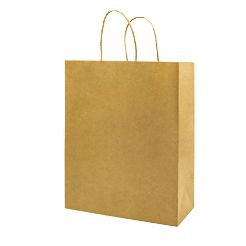 Large Paper Bags with Handles Bulk,10x5x13 Inch 50 Pack,Bagmad Big Kraft Paper Shopping Bags,Gift Natural Party Retail Craft Brown Mechandise Take Out Bags (Natural 50Pcs)