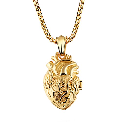 PAURO Men's Stainless Steel Anatomical Heart Pendant Necklace Black/Gold/Silver, Locket Style