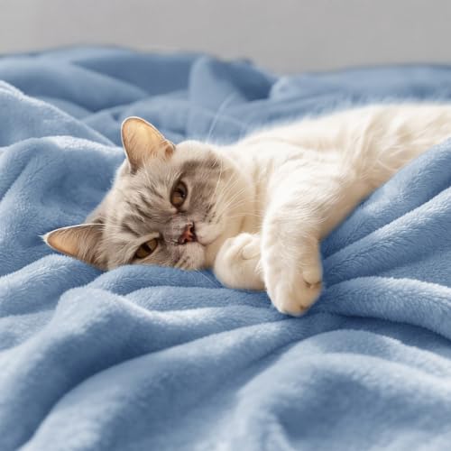 CozyLux Kuscheldecke Flauschig Decke 150x200 cm Himmelblau – Ansicht 5
