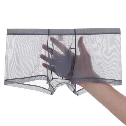 Men's Sexy See Through Underwear Sheer Boxers Lingerie with Ball Pouch Mesh Boxer Briefs for Men 1 or 3 Pack