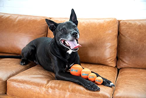 Outward Hound Squeaker Ballz - Hundespielzeug zum Apportieren - Größe M - 4er-Pack
