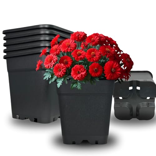 Cultonix Viereckiger Blumentopf 18L – 5er Set | Pflanztopf eckig Kunststoff, Anzuchttöpfe für Balkon & Terrasse, Blumentöpfe Indoor Outdoor, Einsatz für Pflanzkübel groß außen