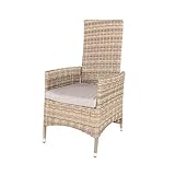 Sparmeile 2er Set Polyrattan verstellbar beige/grau Sessel