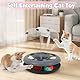 XIAPIA Katzentunnel Faltbar Katzenspielzeug, Katze Spieltunnel mit Ball, Interaktives Katzen Spielzeug Selbstbeschäftigung, Rascheltunnel für Kitten Hasen Kaninchen Meerschweinchen Indoor Outdoor