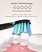 Fairywill D3 Sonic Electric Toothbrush Rechargeable for Adults and Kids, ADA Accepted, 3 Brush Heads 4 Hours Charge Minimum 30 Days Use, Build in Timer and Waterproof Black Series Power Toothbrush