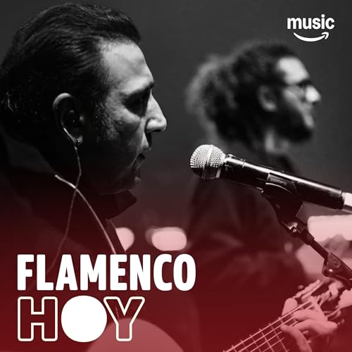 Flamenco hoy