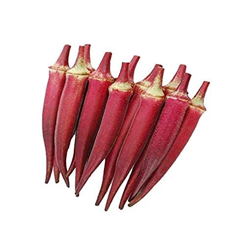 Srinivasa Agro Seeds Okra/Lal Bhindi/Red Lady Finger Seeds, 1 kg (B09VKLGKJB) Amazon Price History, Amazon Price Tracker