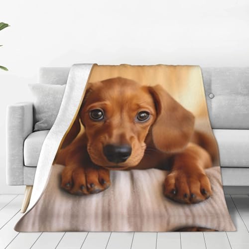 ERSDWRE Manta gruesa con estampado de perro salchicha, cálida y acogedora, manta de franela suave para cama, sofá, camping, viajes